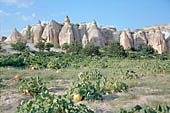 Cappadocia, the Rose valley 